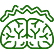 Epilepsy & Seizure Disorders