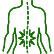 Neuropathic & Chronic Pain